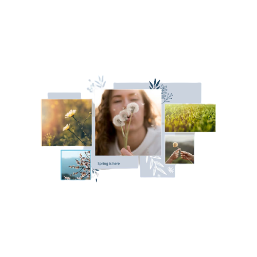 photo albums printing